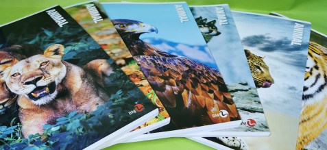 Slika nije definirana 