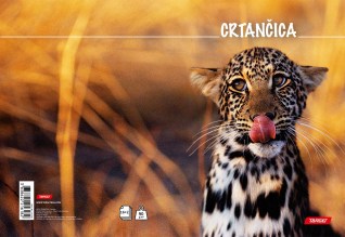 Slika nije definirana 